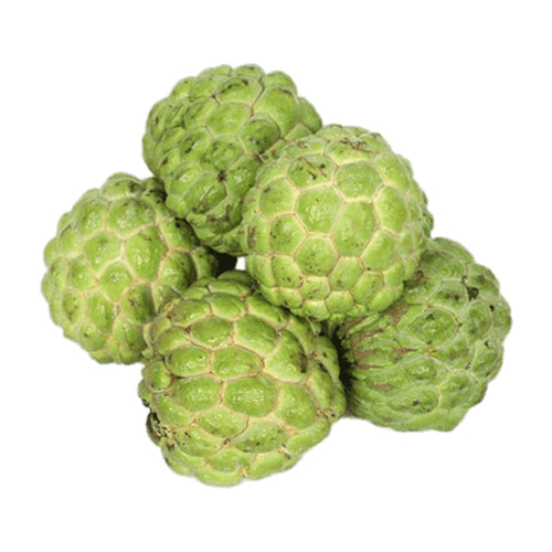 Custard Apple Fruits