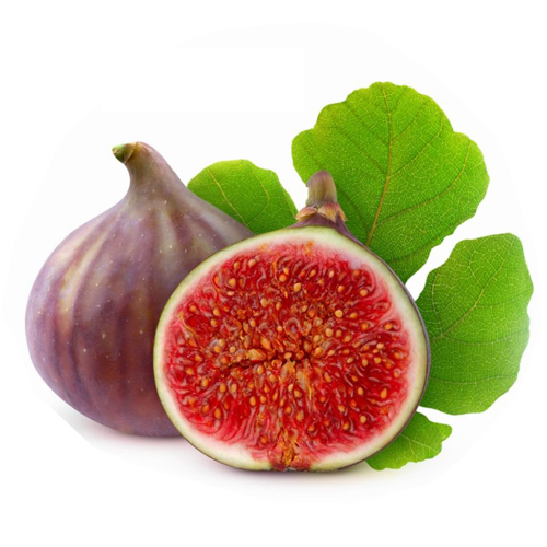 Fresh Fig Fruits