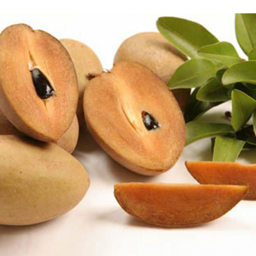 Sapota Fruits